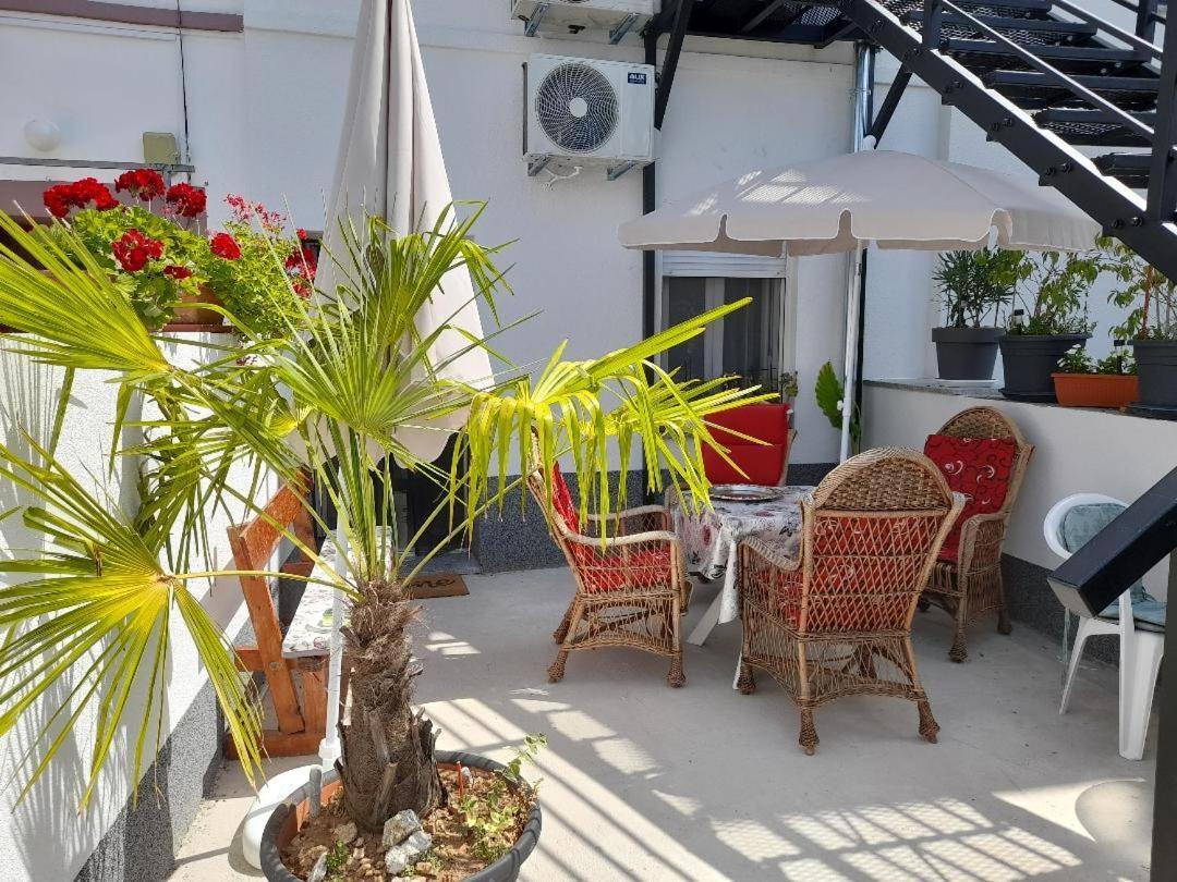 Apartment Magnolija